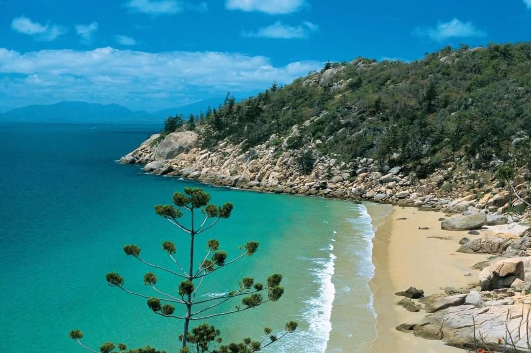 Beachside Cottage - A Private Peaceful Hidden Gem 50M To Beach Nelly Bay Bagian luar foto